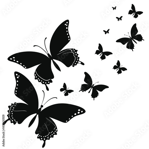butterfly vector illustration