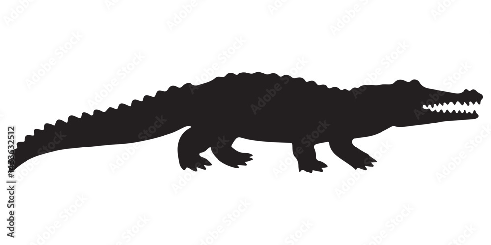Fototapeta premium Crocodile silhouette with reptile and lizard features on white background