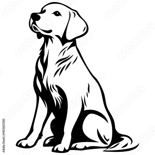 Golden retriever in vector format showcasing a loyal and friendly canine companion
