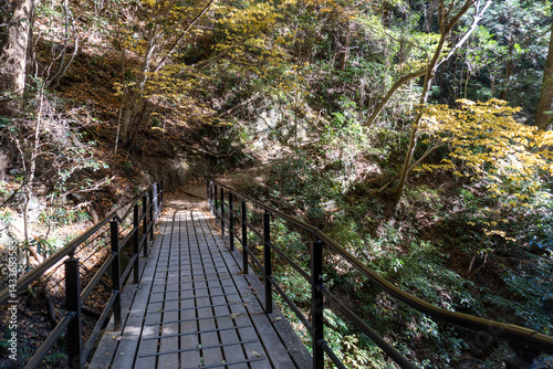 Minami Takao Seven Summits Trail 