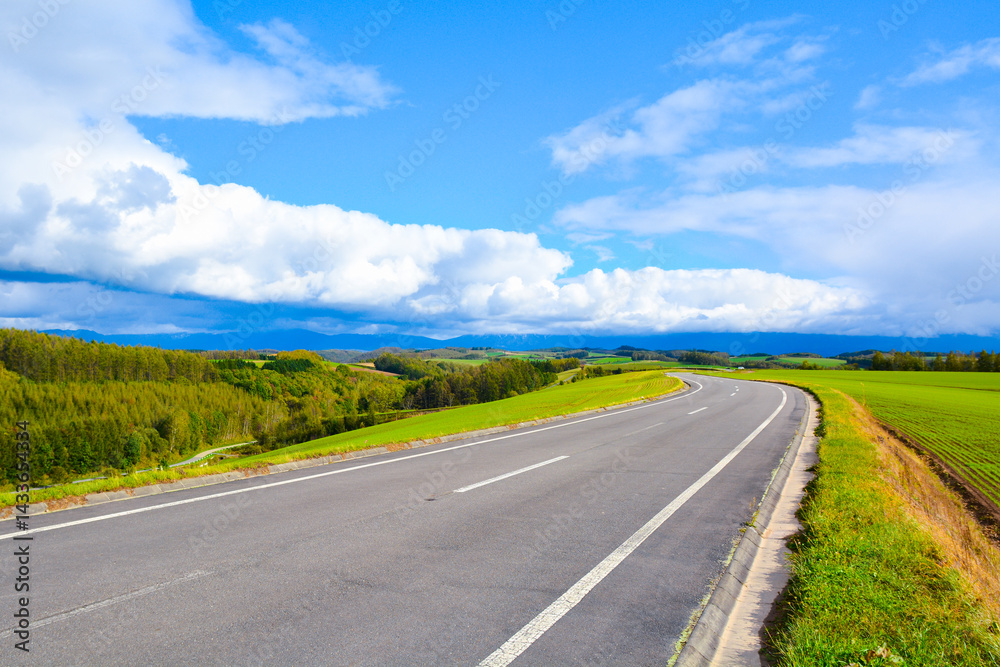 Fototapeta premium 美瑛 ドライブ