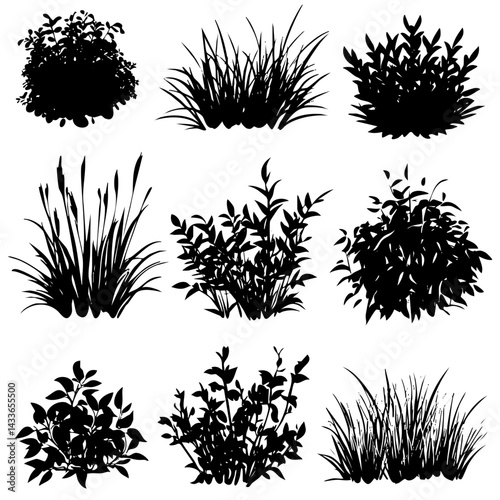 Various vector silhouettes of plants and grass formations on a white background