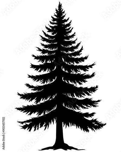 Vector silhouette of a tall evergreen tree featuring detailed branches and needles