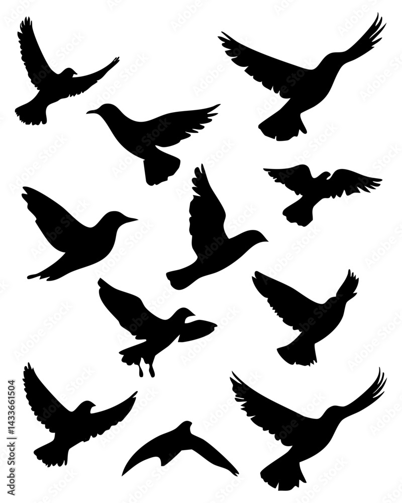 Black silhouette vector of various birds in flight against a white background