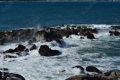 praia da armaçao 