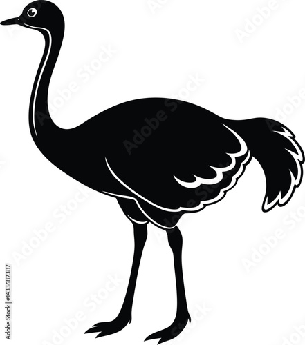 ostrich cartoon isolated on white background