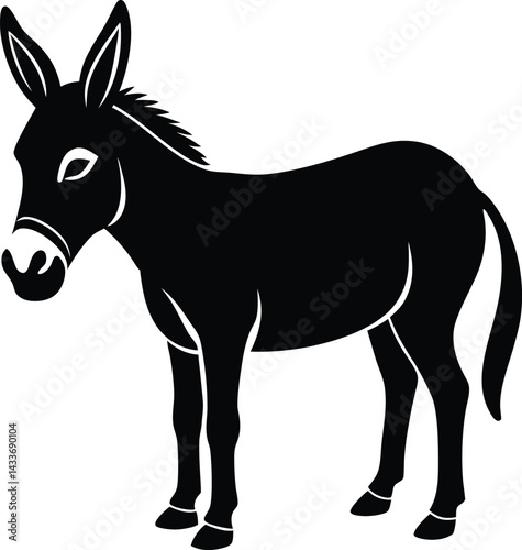 donkey isolated on white background