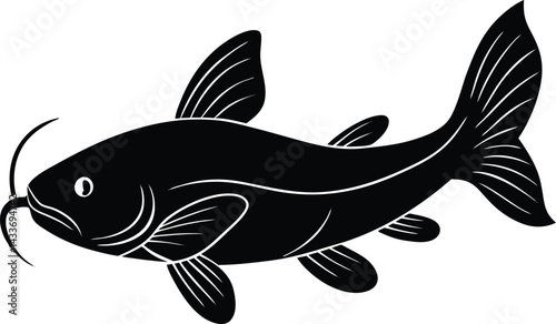 vector illustration of a fish