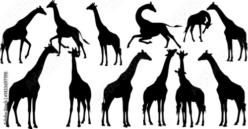 vector, isolated black silhouette of a dog, collection