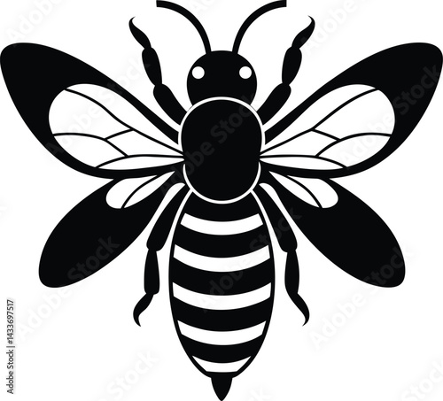 bee on white background