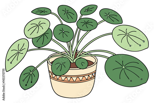 95 Pilea peperomioides, Chinese money plant, UFO plant, terracotta pot, green round leaves, houseplant, indoor plant, minimalist, clean background, botanical photography, soft lighting, vibrant green,
