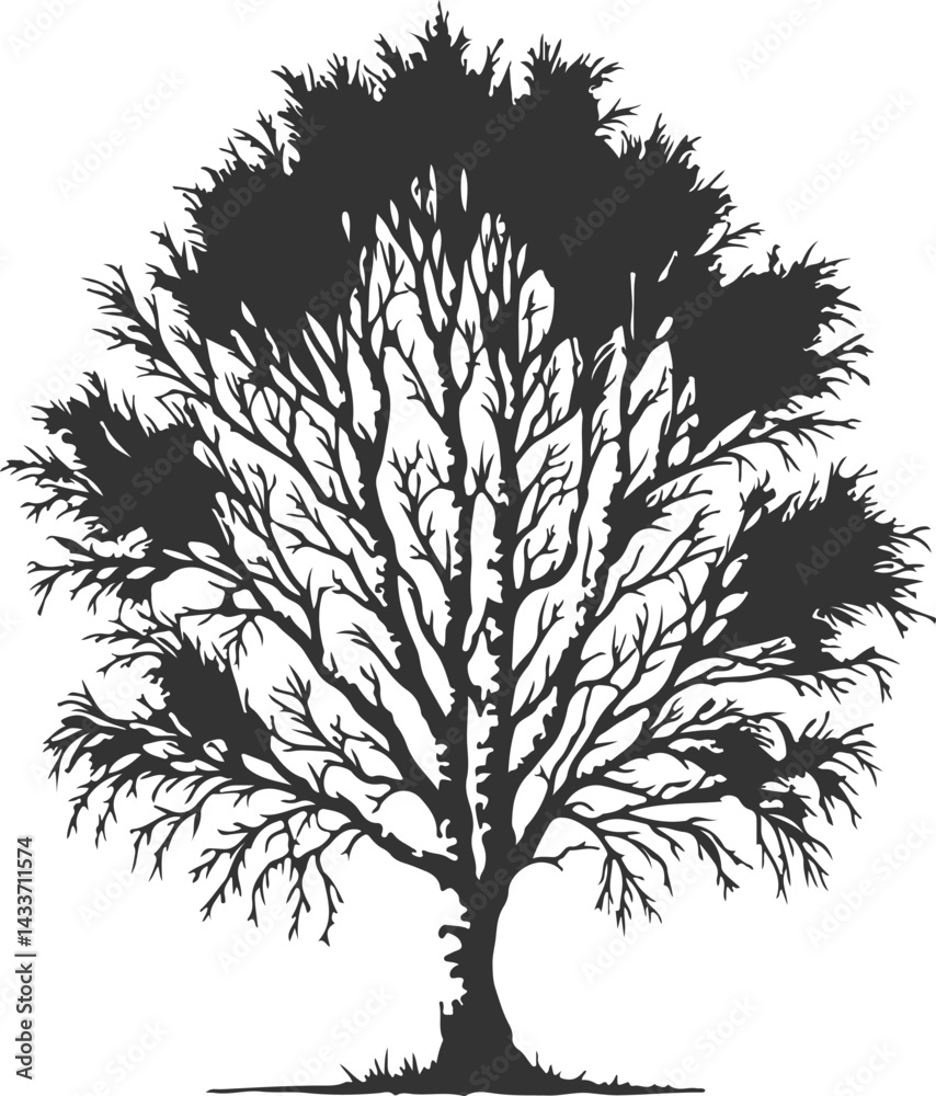 Obraz premium Simple Nature Tree Vector Art