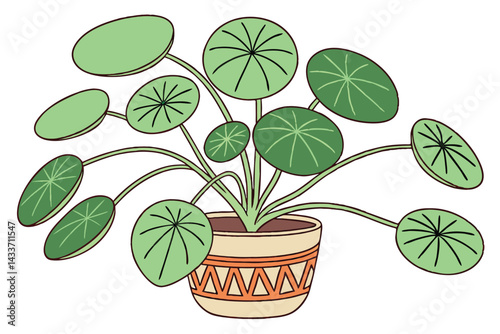 95 Pilea peperomioides, Chinese money plant, UFO plant, terracotta pot, green round leaves, houseplant, indoor plant, minimalist, clean background, botanical photography, soft lighting, vibrant green,