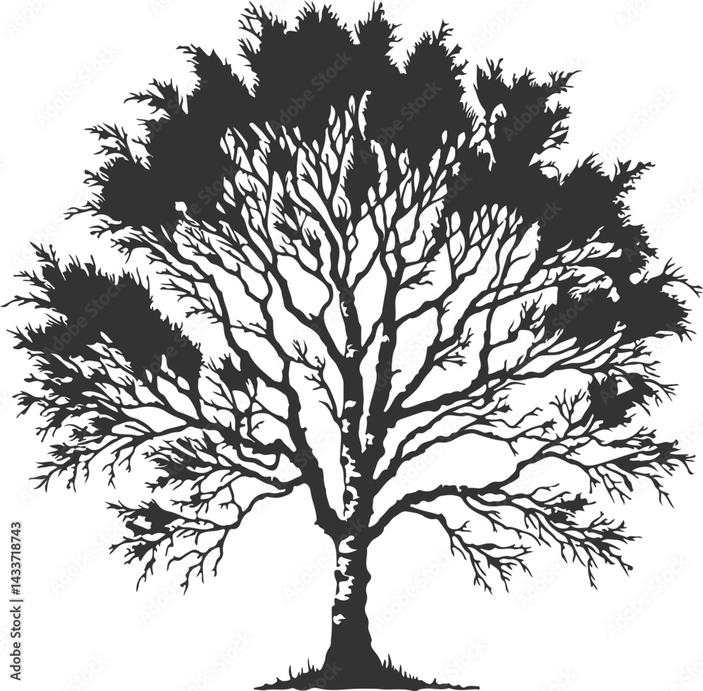 Obraz premium Black Tree Graphic on White Background