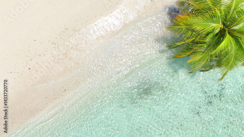 Tropical white sand beach with calm turquoise water and palm trees under blue sky, serene atmosphere for summer travel, hotel, resort, family vacation