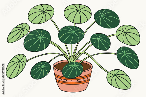 95 Pilea peperomioides, Chinese money plant, UFO plant, terracotta pot, green round leaves, houseplant, indoor plant, minimalist, clean background, botanical photography, soft lighting, vibrant green,
