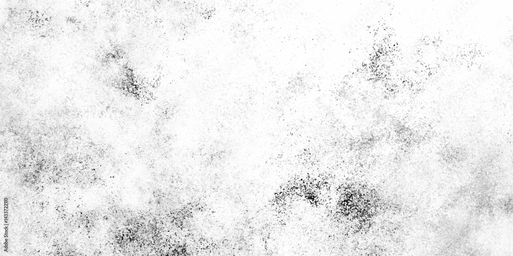 Fototapeta premium Distressed white and black grunge texture, old and dirty outdoor concrete wall, black on white old rough grunge and white rough vintage distress background. 