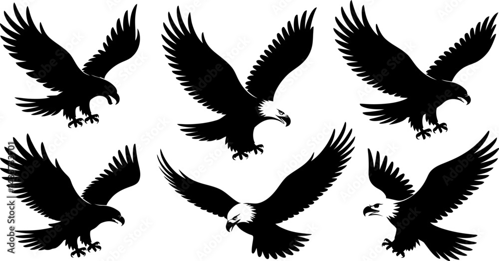 Obraz premium Adobe Illustrator Artwork