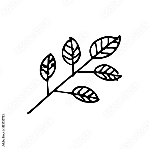 cute leaf vector illustration hand drawn black and white style
