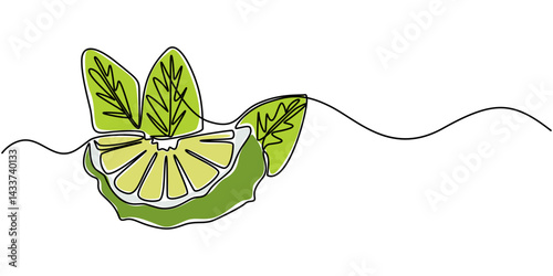 Bergamot vector pattern, color illustration for label design. One continuous line art drawing with lettering bergamot, Set of collection compositions with lime, bergamot citrus element fruits vector.