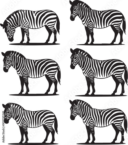 Six Black and White Zebra Silhouettes in Different Poses