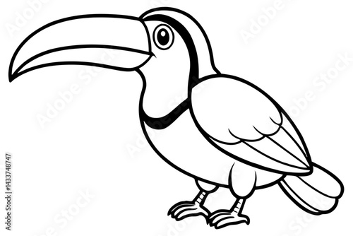 Elegant Toucan Sketch