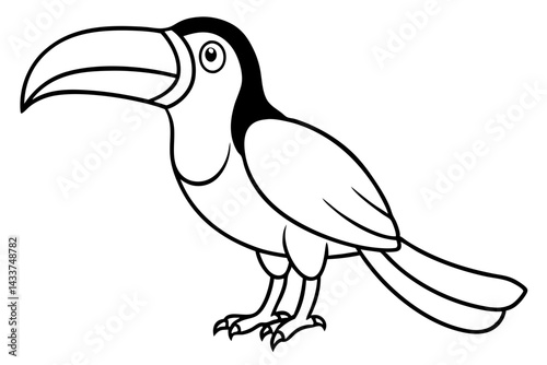 Elegant Toucan Sketch
