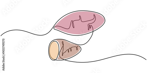Sweet potato tuber vector illustration. One line art drawing with lettering organic sweet potato, Continuous line drawing of whole health organic sweet potato for farm logo identity. One line art.