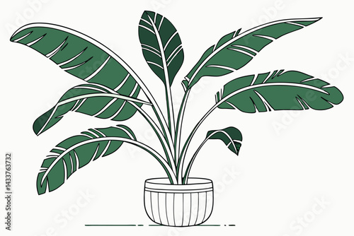 98 Tropical banana leaves, large green foliage, ceramic pot, indoor plant, botanical illustration, white background, high detail, vibrant green, glossy leaves, natural texture, minimalist composition,
