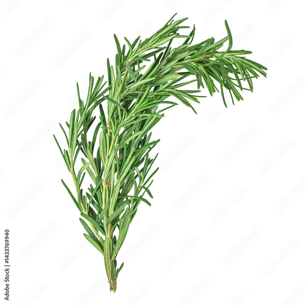 Obraz premium Fresh green organic rosemary leaves isolated on white background. Ingredient, spice for cooking
