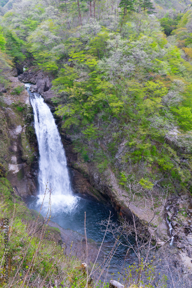仙台の秋保大滝