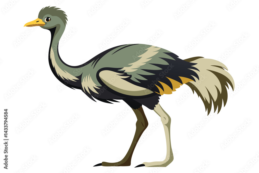 Fototapeta premium Ostrich isolated illustration on white background. 