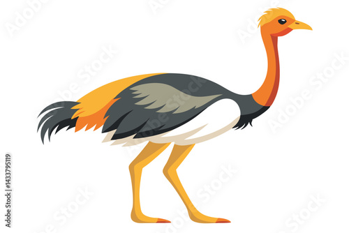 Ostrich isolated illustration on white background.
