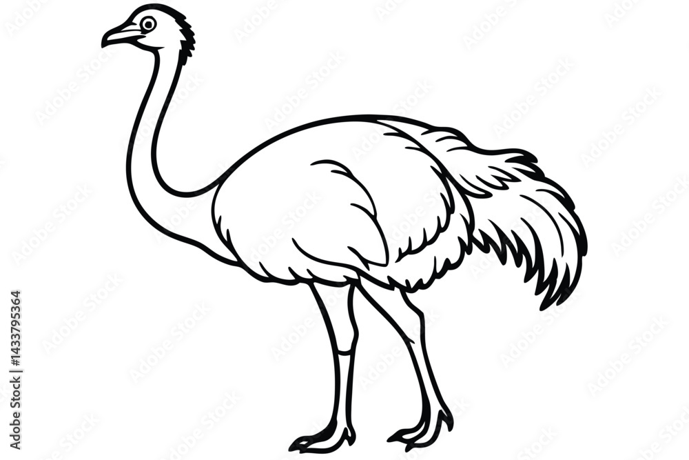 Fototapeta premium Ostrich isolated illustration on white background. 