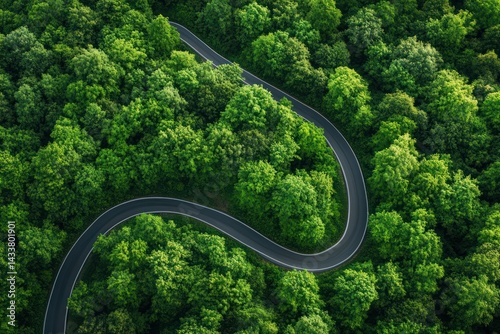 Fototapeta Naklejka Na Ścianę i Meble -  Aerial view of winding road through dense green forest