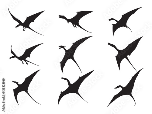Set of pteranodon silhouette