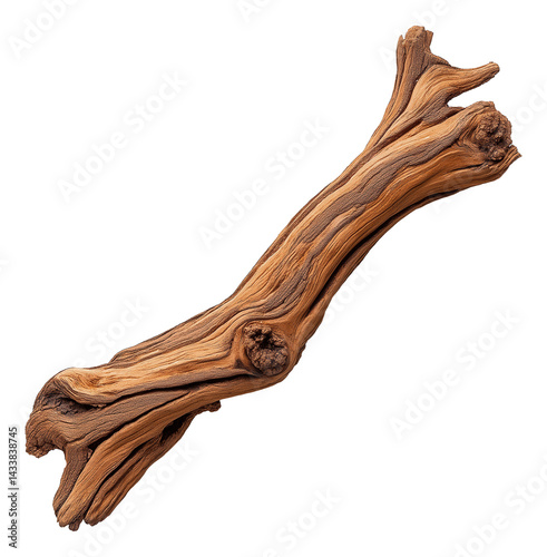 A weathered piece of driftwood with intricate patterns and textures.
