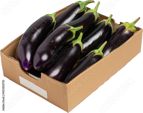 Fresh purple eggplants in a box