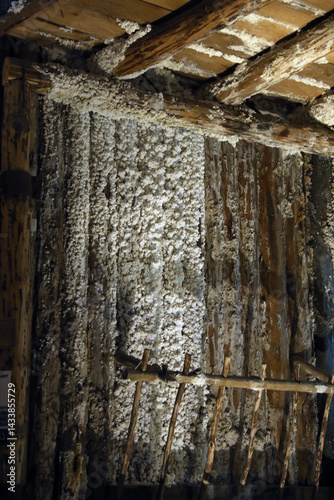Old wooden structure covered with crystalline salt deposits inside a historic salt mine. Atmospheric lighting highlights the texture and mineral buildup, showcasing the unique underground environment.