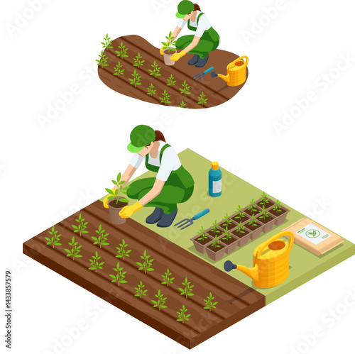 Agricultural cultivation. Isometric vector of a farmer planting seedlings from a pot into raised beds, with gardening tools and seed packaging ideal for eco-friendly farming scenes.