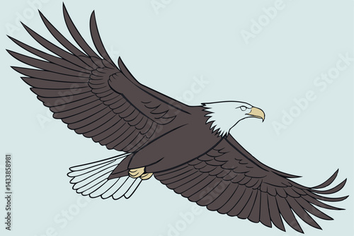 Bald eagle soaring through the clear sky with wide wings spread in a graceful flight during daylight hours
