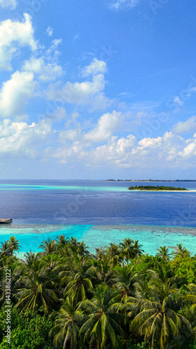 Scenic panoramic view of tropical islands surrounded by deep blue ocean with palm trees in the foreground, maldives summer travel, island getaway, nature beauty