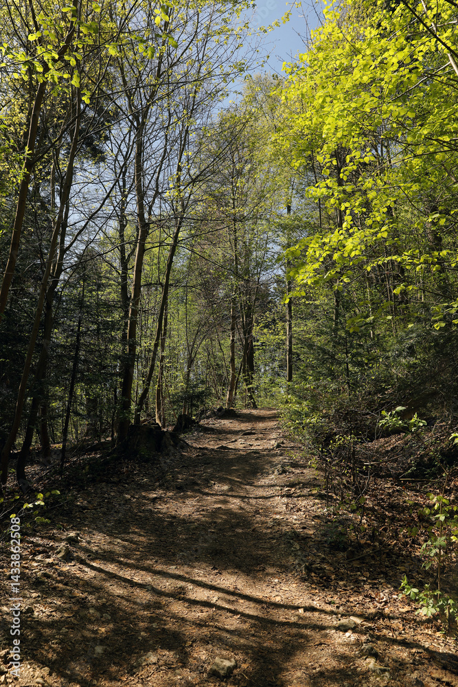 Fototapeta premium Ojcow National Park in Poland, near Krakow, rocks, active recreation, hiking in Polish mountains, family vacation, rocks, hiking routes in the mountains 