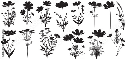 wildflower silhouette vector set
