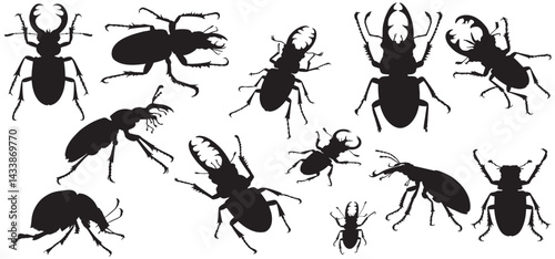 Collection of Silhouette  Various Beetle Species vector, silhouette beetle, various beetle silhouettes vector