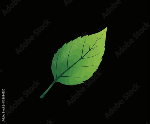 Green leaf illustration on black background
