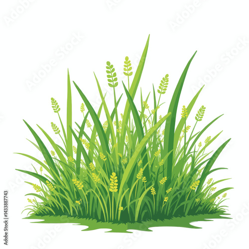 Lush green grass with light green wheat-like sprouts