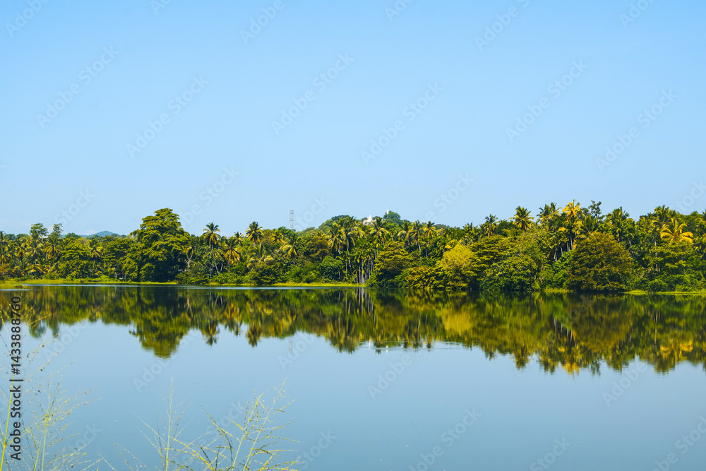 Fototapeta premium Blue Lake Surrounded by Lush Green Trees and Vines. Tranquil Forest Lake with Crystal Blue Water and Natural Foliage. Beautiful Blue Water Lake in the Heart of a Green Forest. Asian Lake Landscape