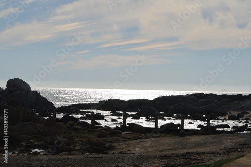 vina del mar