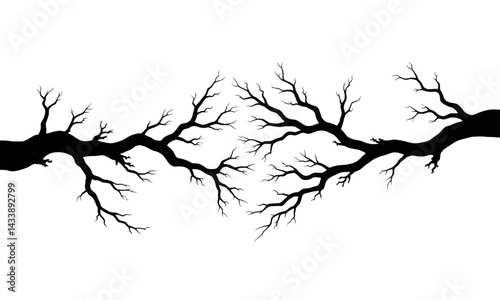 Symmetrical bare branches silhouette on white background